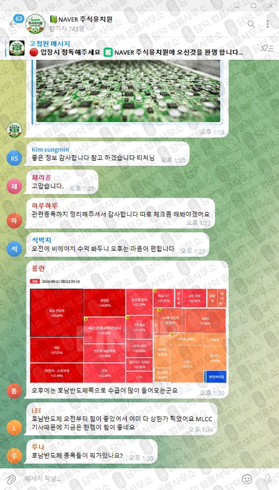 이 사진은 담덕법률사무소에서 캡쳐해둔 사칭(NAVER) 웹사이트 캡쳐 사진이며 URL은 t.me 입니다.